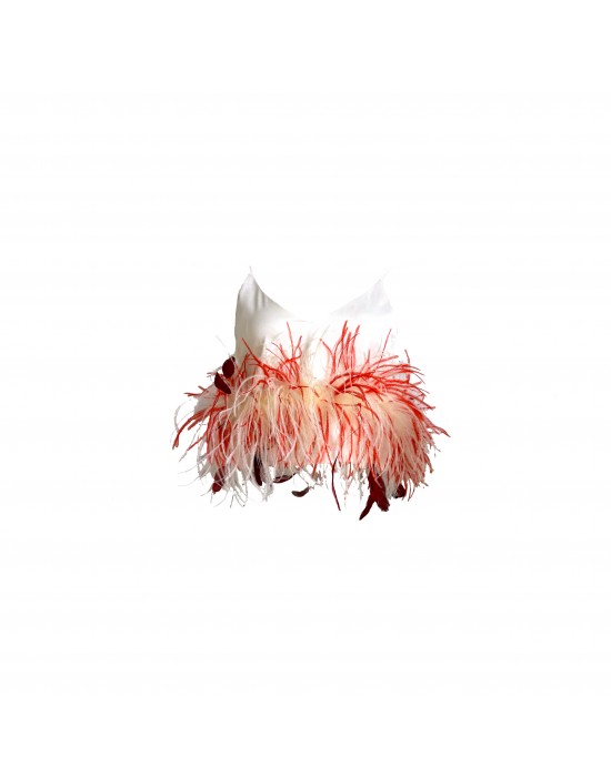 Crimson Feather Crop Top