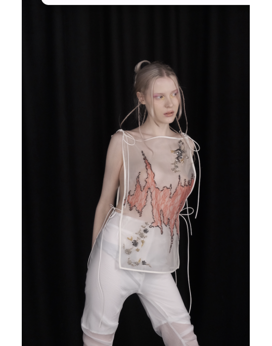 Celestial Embroidered Mesh Top